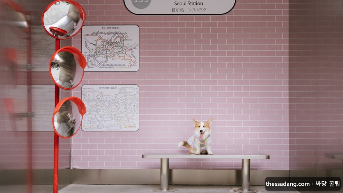 도봉 휴대폰성지 - 서울 도봉구 역세권 거리 풍경 - 싸당 꿀팁